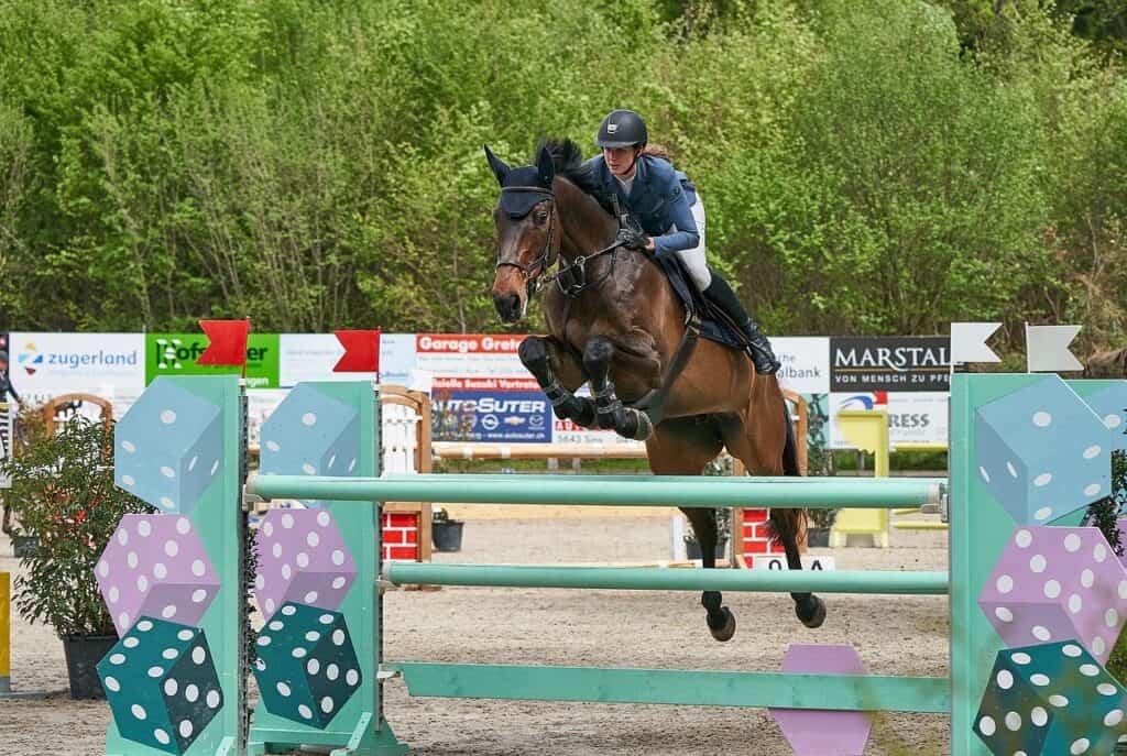 Bespoke website design for equestrian businesses in the UK